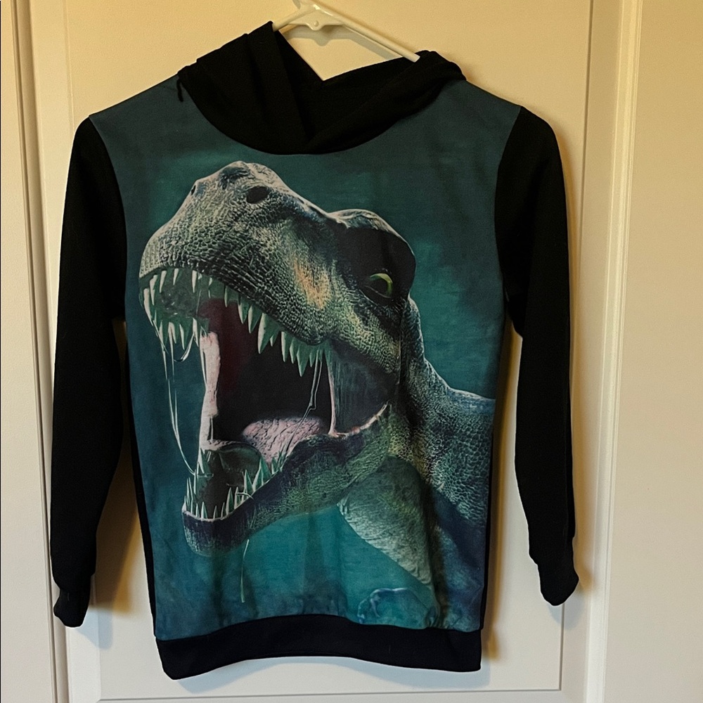 Dinosaur Graphic Hoodie